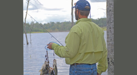 Troubled Waters on Inland Lakes