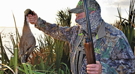 Duck Blinds Made Easy