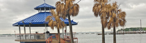 Flooded waterfront area with palm trees and a blue-roofed gazebo.