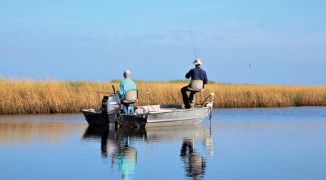 Overlooked & Underfished Coastal Surprises