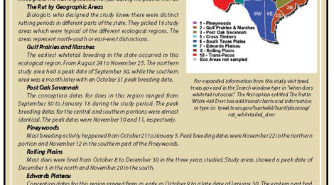 Informative Texas election guide with map and voting details.