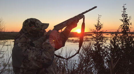 Ducks Across Texas