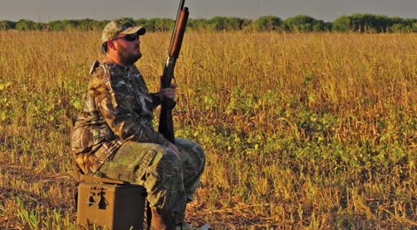 2023 Dove Hunting Forecast