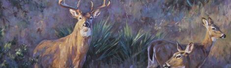 Two deer standing in a grassy field during twilight.