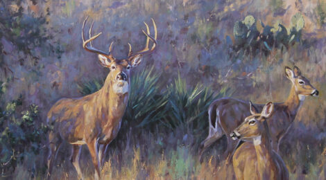 Two deer standing in a grassy field during twilight.
