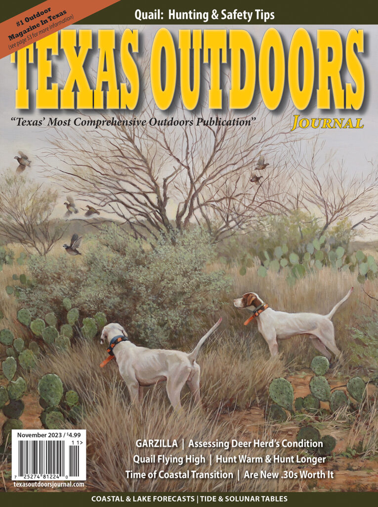 Two hunting dogs in a Texas outdoor setting with flying birds overhead.
