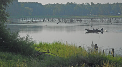 The Lowly State of Texas Lakes