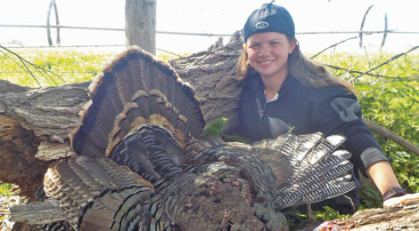 ARE GOBBLERS BAMBOOZLERS OR INTELLIGENT CRITTERS?