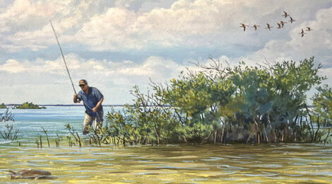 Cover art showing a fisherman casting a line in a marshy Texas wetland under a blue sky.