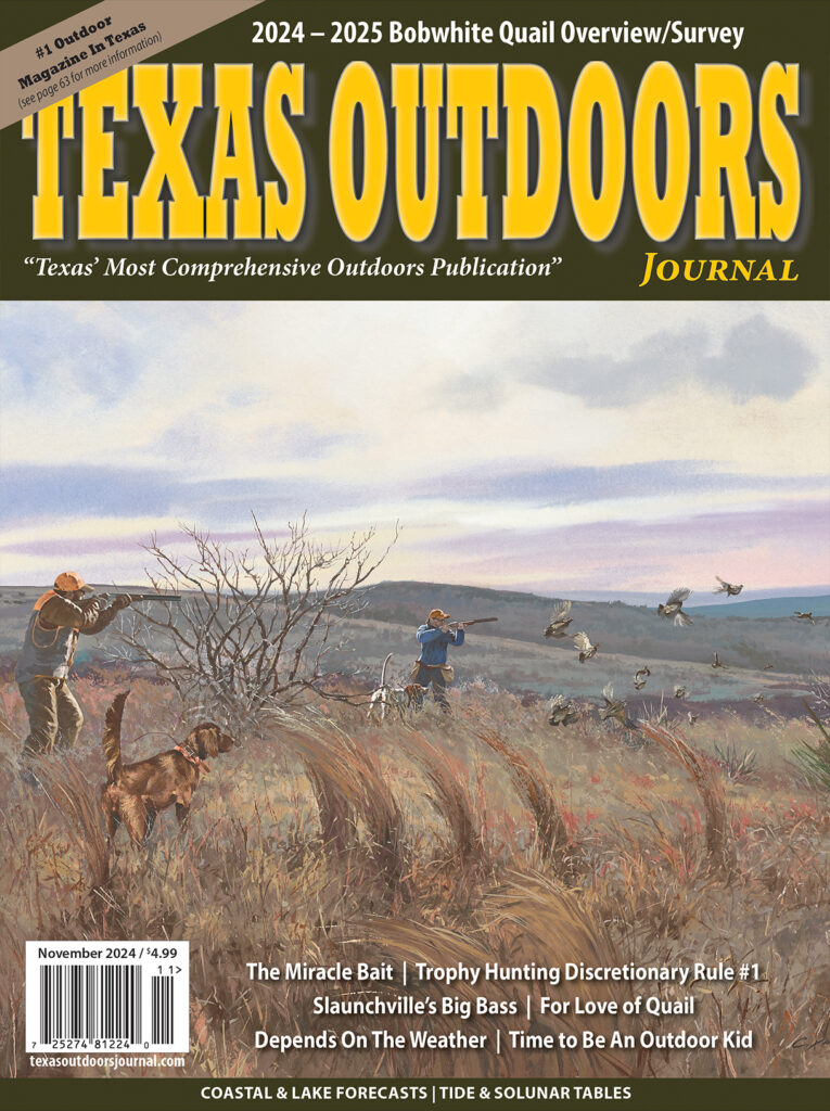 Texas Drawn Hunt Program Opens for the 2024-25 Season Applications ...