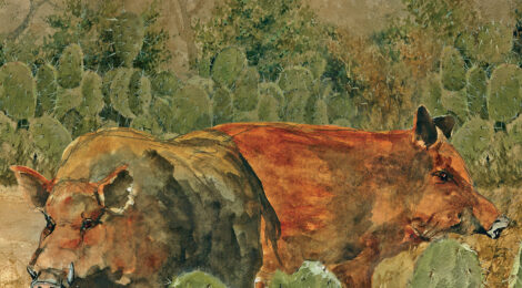 Cover of Texas Outdoors Journal featuring deer and cactus.