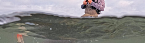 Convincing Stubborn Coastal Gamefish To Bite