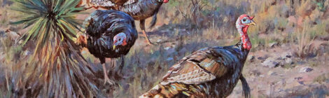 About the April 2026 Cover