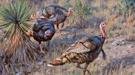 About the April 2026 Cover