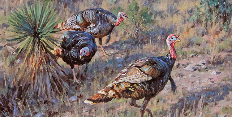 About the April 2026 Cover