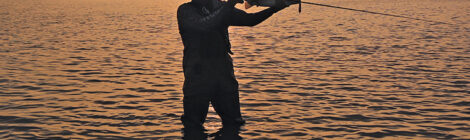 Spring Into The Skinny Shallows