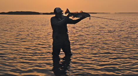 Spring Into The Skinny Shallows