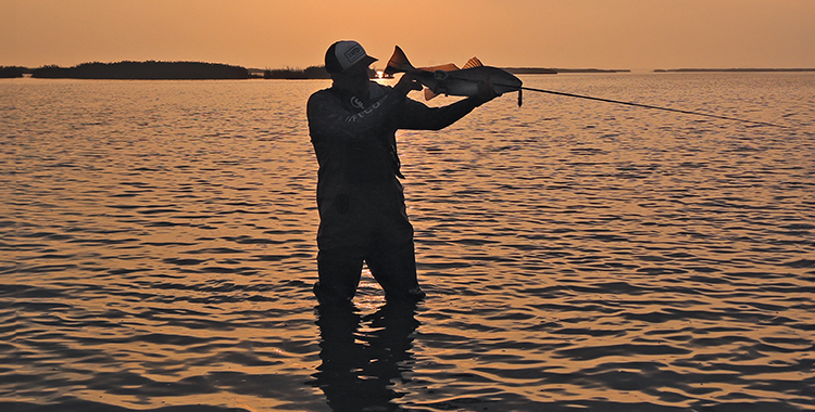 Spring Into The Skinny Shallows