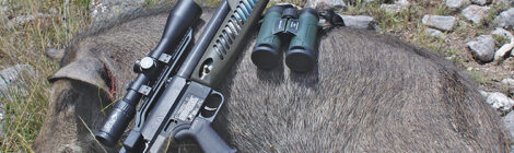 WHAT’S THE BEST HOG CALIBER?