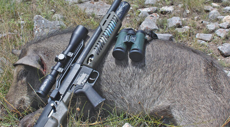 WHAT’S THE BEST HOG CALIBER?
