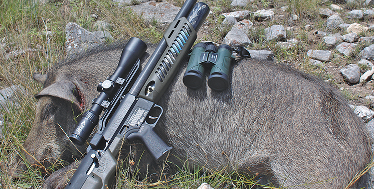 WHAT’S THE BEST HOG CALIBER?