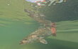 May’s Abundant Angling Adventures