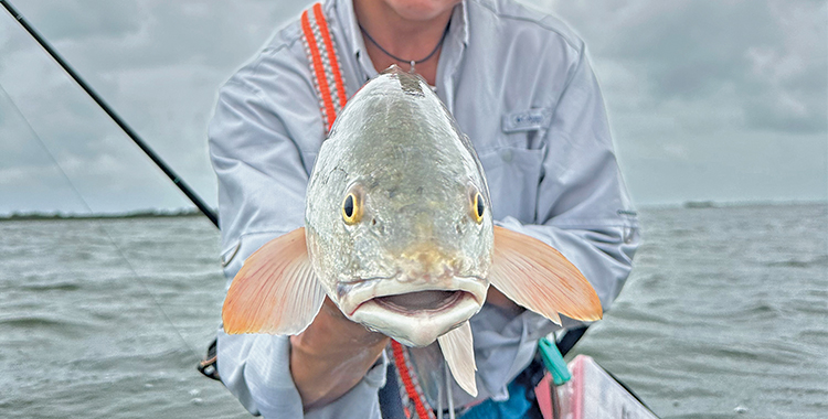 Successfully Fishing the Shallows in Summer