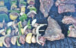 GOOD ‘N TASTY TABLE FARE