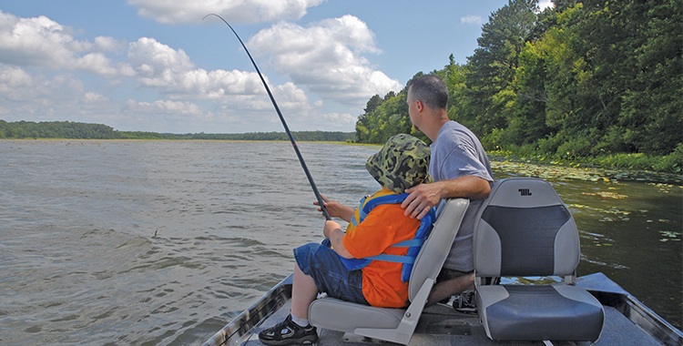 Banking on Bream