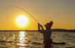 Beat the Heat for Quality Catches