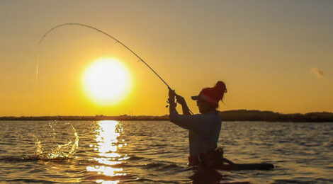 Beat the Heat for Quality Catches