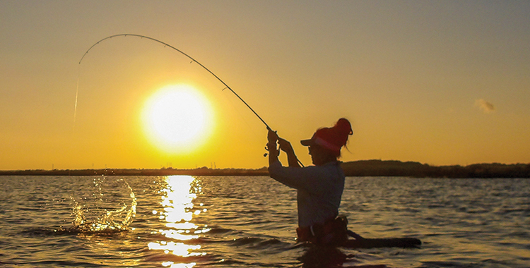 Beat the Heat for Quality Catches