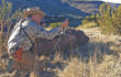 Practical Hunting Practice