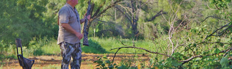 Tips to Dove Hunting Success