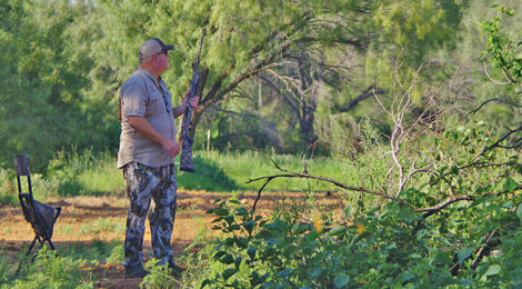 Tips to Dove Hunting Success