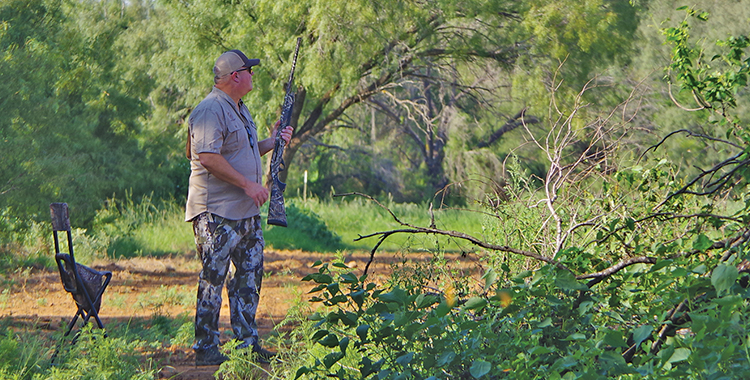 Tips to Dove Hunting Success